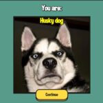 What Meme Dog Are You – Divertido!