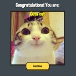 Which Meme Cat Are You – Um Gato Muito Engraçado